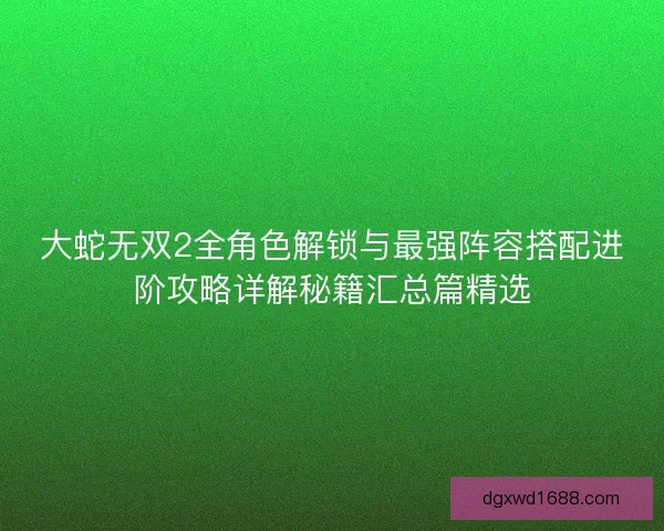 大蛇无双2全角色解锁与最强阵容搭配进阶攻略详解秘籍汇总篇精选