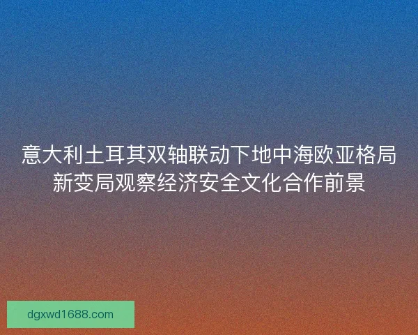 意大利土耳其双轴联动下地中海欧亚格局新变局观察经济安全文化合作前景